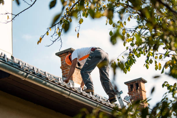 Roof Installation Near Me in Flora, IL