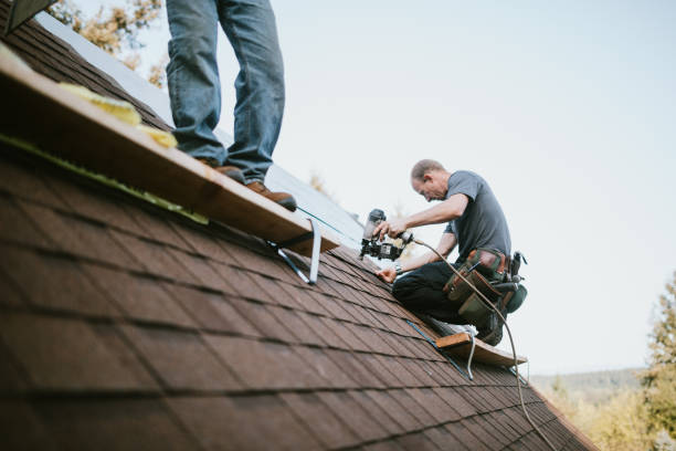Best New Roof Installation  in Flora, IL